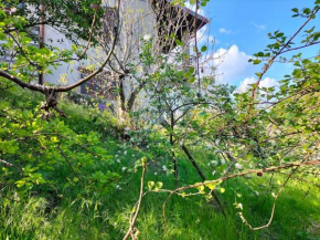 Villa Rosa Perla - Lake Como - Schignano